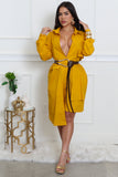 Lizzo Tunic Dress