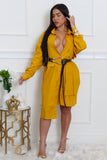Lizzo Tunic Dress