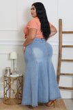 Count On It Skirt Plus