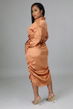 Shasta Dress