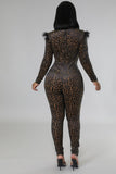 Wild Mistress Jumpsuit