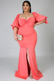 Expensive Taste Dress