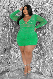 Spring Bling Dress
