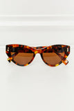 Tortoiseshell Acetate Frame Sunglasses - OmniGlitz 