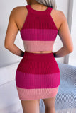 Color Block Sleeveless Crop Knit Top and Skirt Set - OmniGlitz 
