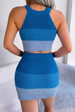 Color Block Sleeveless Crop Knit Top and Skirt Set - OmniGlitz 