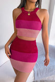 Color Block Sleeveless Crop Knit Top and Skirt Set - OmniGlitz 