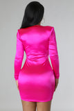Sweet Touches Dress - OmniGlitz 