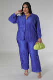 Effortlessly Chic Pant Set - OmniGlitz 
