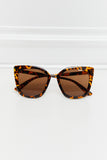 Cat Eye Full Rim Polycarbonate Sunglasses - OmniGlitz 